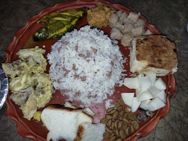 IMG_20250503_113831.jpg