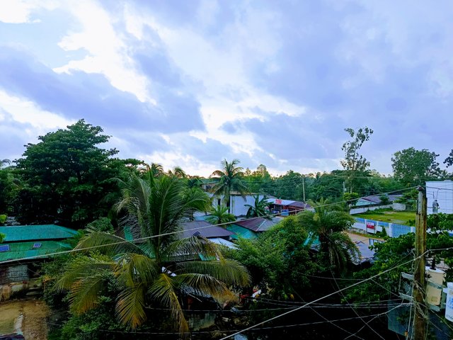 IMG_20250718_171655.jpg