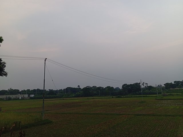 1000581296.jpg