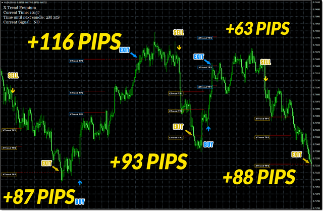 X Trend Premium Indicator Review.png