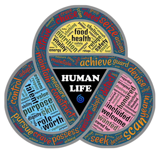 nutshell-2122598_1280.webp.png