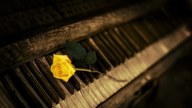 piano y flor.jpg