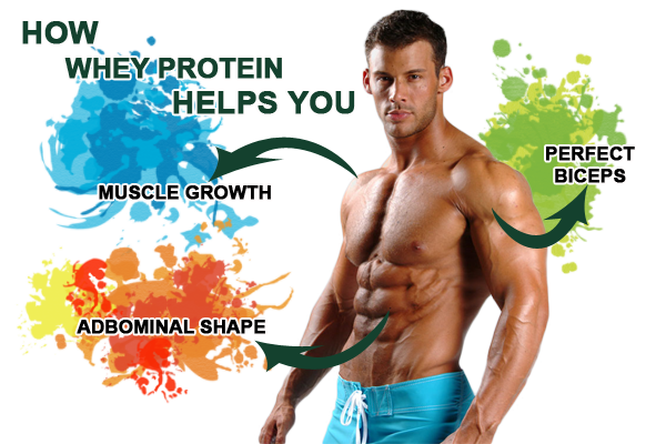 Benefits of whey protein isolate.png