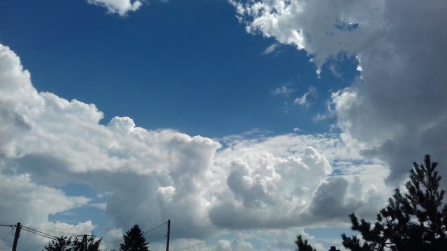 20180726_111251.jpg