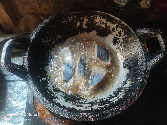 IMG20250704121713.jpg