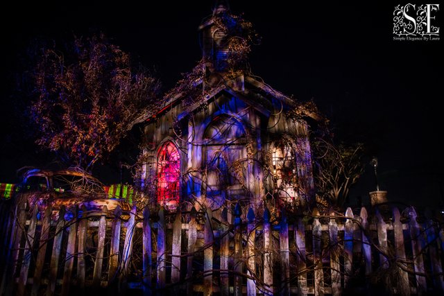 HHN-2018 (9).jpg