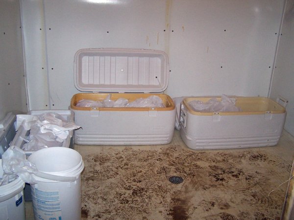 Carcasses in coolers crop Sept. 2019.jpg