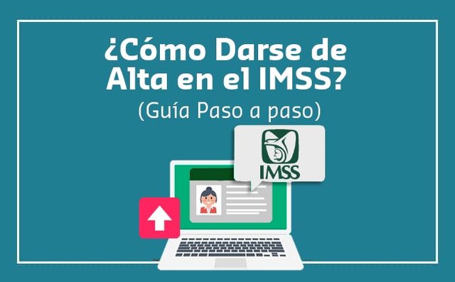 Darse-de-Alta-ante-el-IMSS.jpg