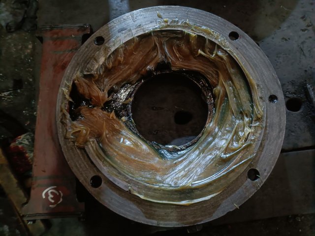 IMG20250401104915.jpg