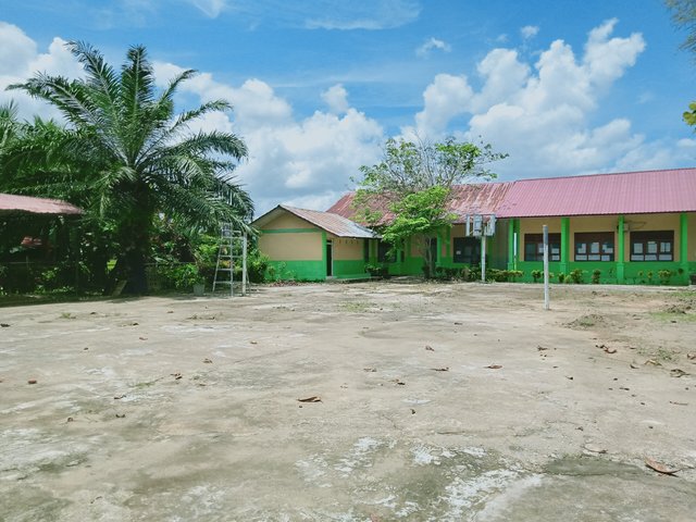 IMG20250312124146.jpg