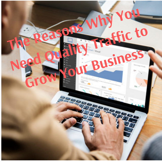 The Reasons Why You Need Quality Traffic to Grow Your Business.png