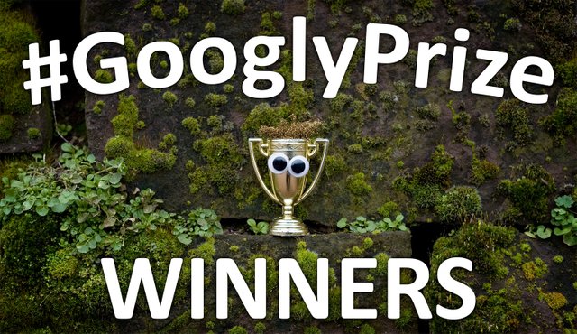 GooglyPrize GooglyEyes TitleImage Vol114