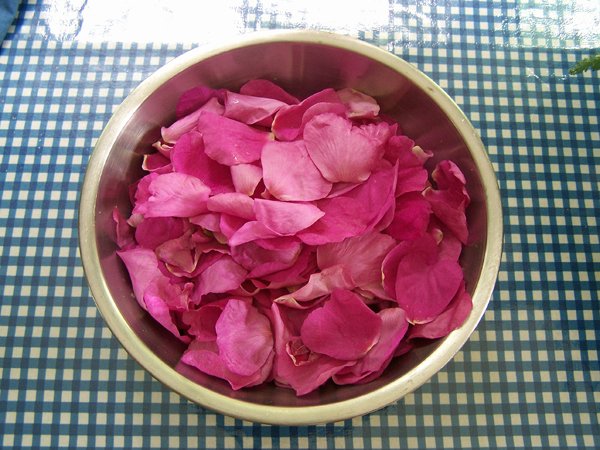 Rugosa rose petals - 1st harvest crop June 2019.jpg