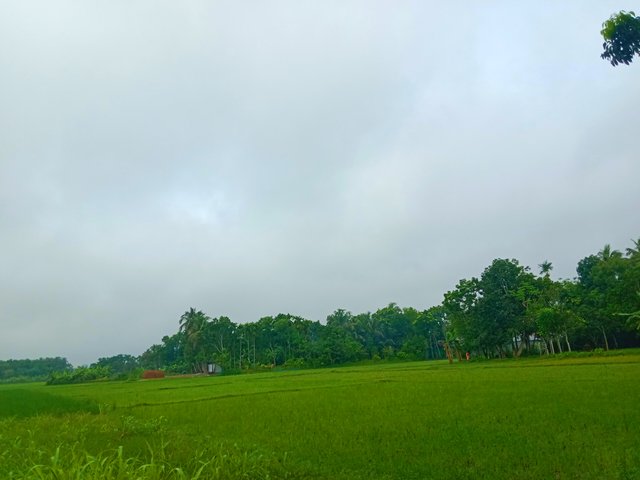 IMG_20250618_074357.jpg