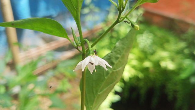 IMG20250430134927.jpg