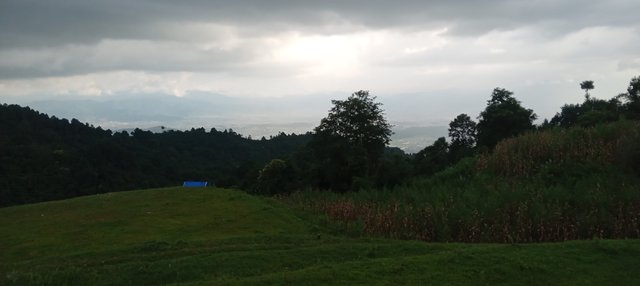 20250901_165902.jpg