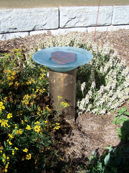 New Herb - birdbath crop September 2019.jpg