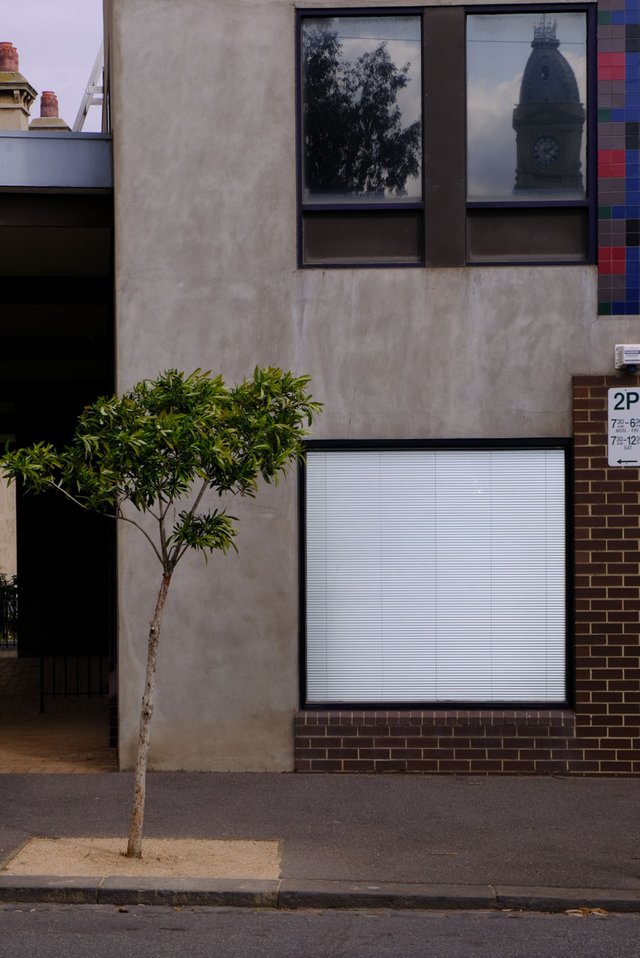 The Tree, the window and the reflection (1 of 1).JPG