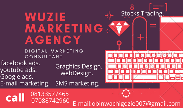 wuzie marketing agency (1).png