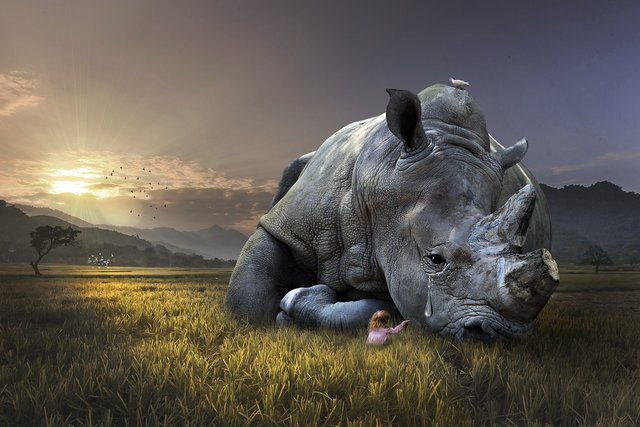 nature-3238937_1280.jpg