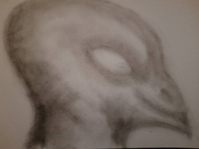 20250612_104027.jpg