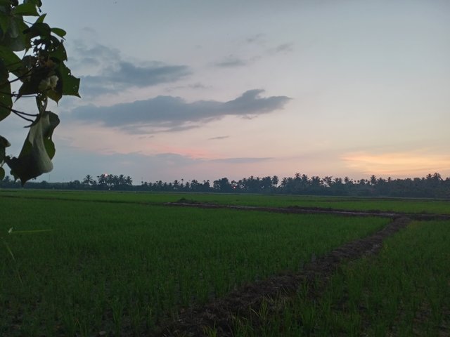 IMG20250726185505.jpg