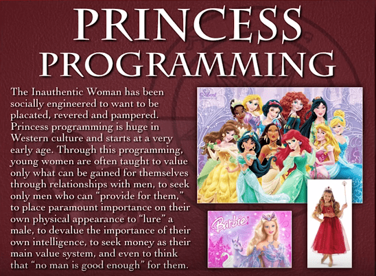 Princess-Programming.png
