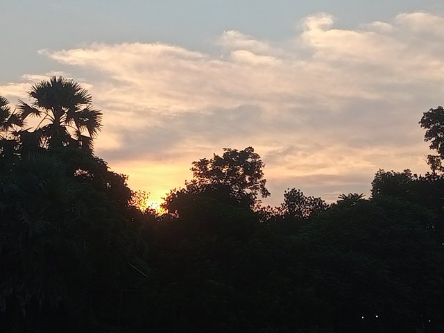 IMG20250816180955.jpg