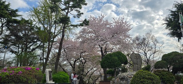 KakaoTalk_20250421_205825311_19.jpg