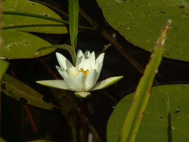 PICT0096.JPG