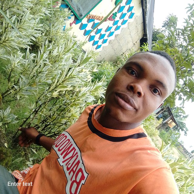 IMG_20240711_065340_017.jpg