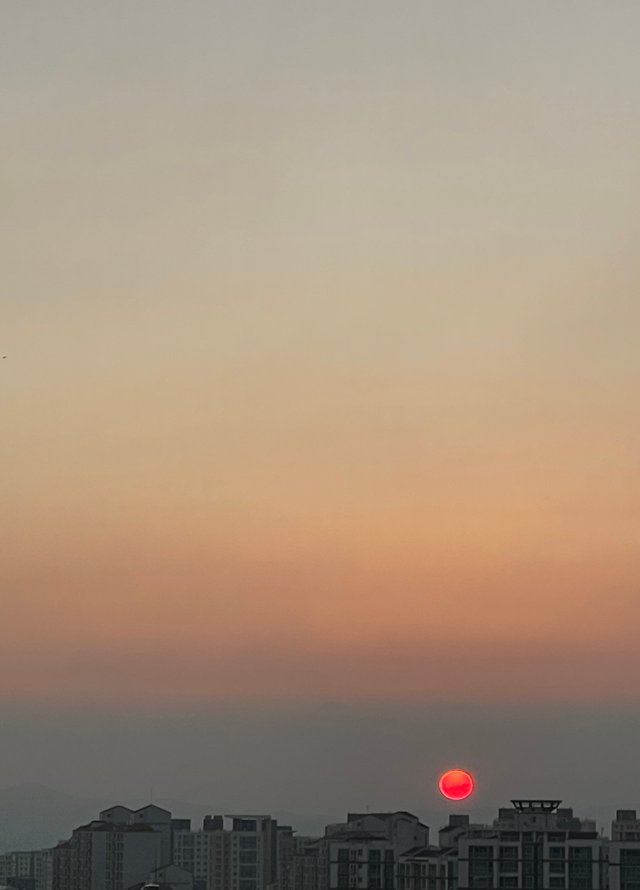 IMG_7149.jpeg