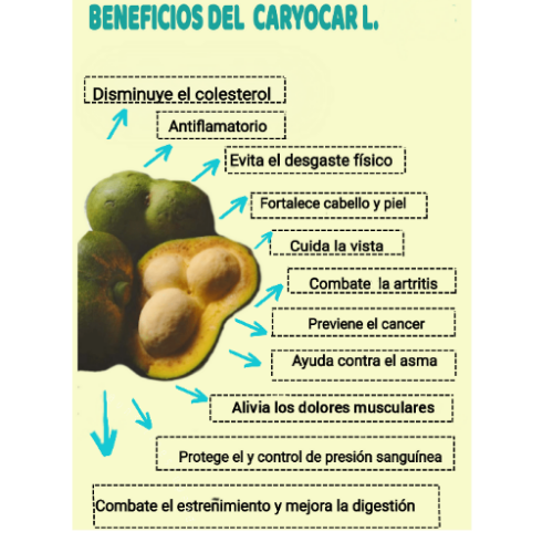 IMG_20230107_190231_(500_x_500_píxel).png