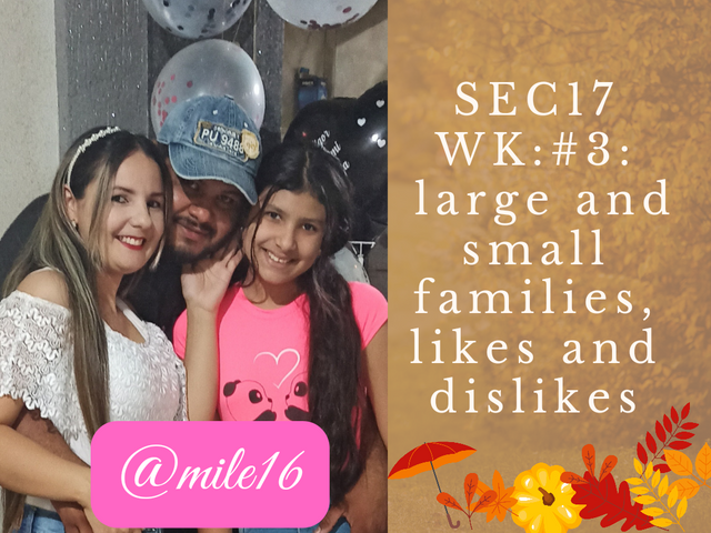 SEC17 WK_#3_ large and small families, likes and dislikes_20240424_001036_0000.png
