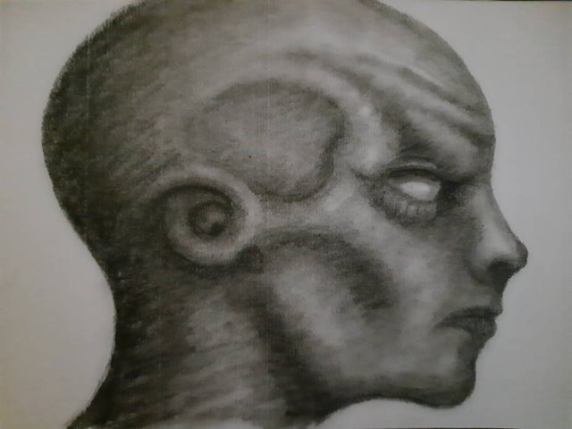 20250624_104904.jpg