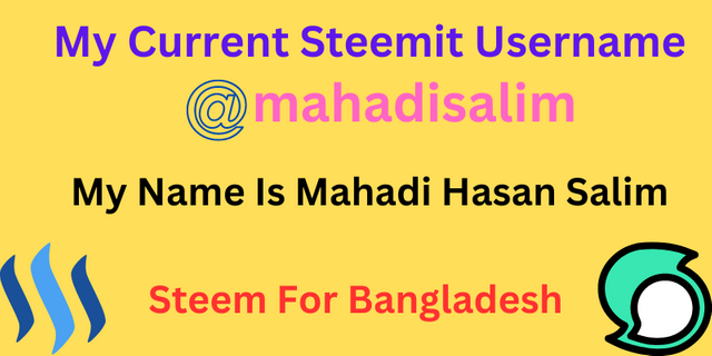 mahadisalim (1).png