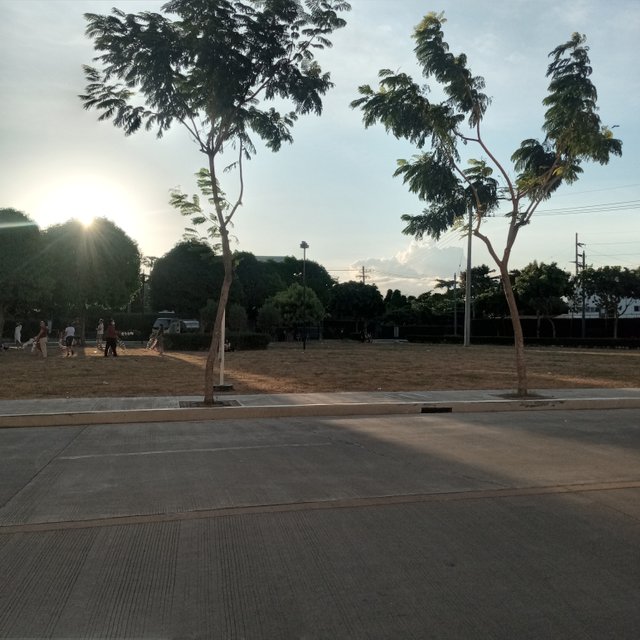 20250424_171710.jpg