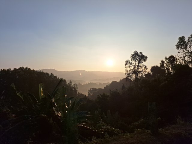 20240120_071423.jpg