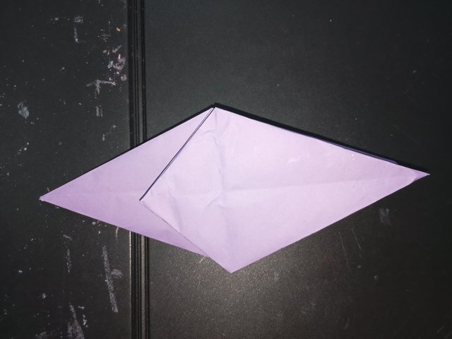 1000029456.jpg