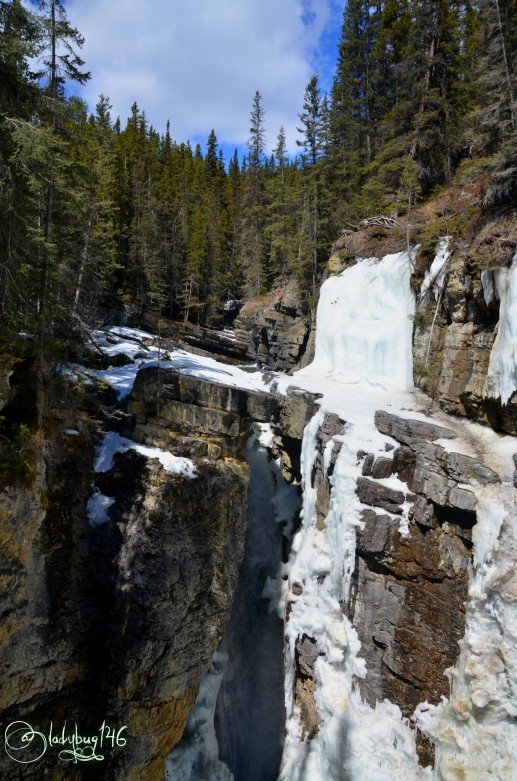 johnston_canyon12.jpg