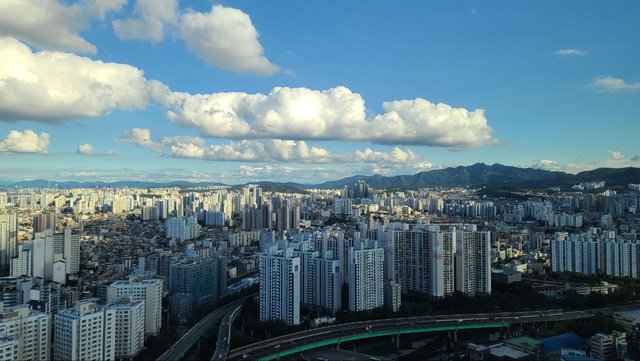 IMAGE 2025-10-30 04:22:34.jpg