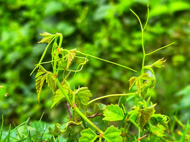 IMG_20250706_063744.