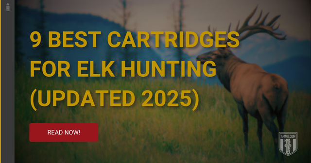 (82) 9 Best Cartridges for Elk Hunting (Updated 2025).png