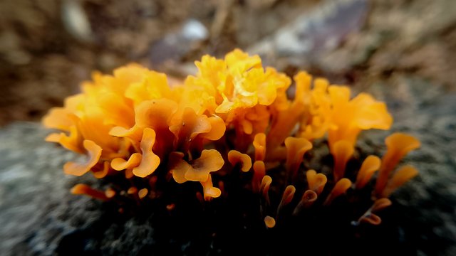 IMG_20250504_123113.jpg