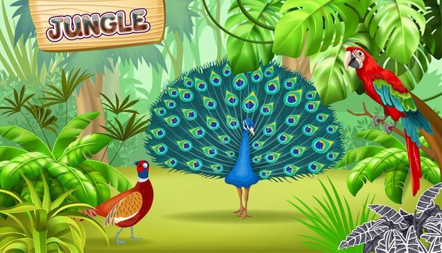 poster-tropical-jungle-birds_105738-682.jpg