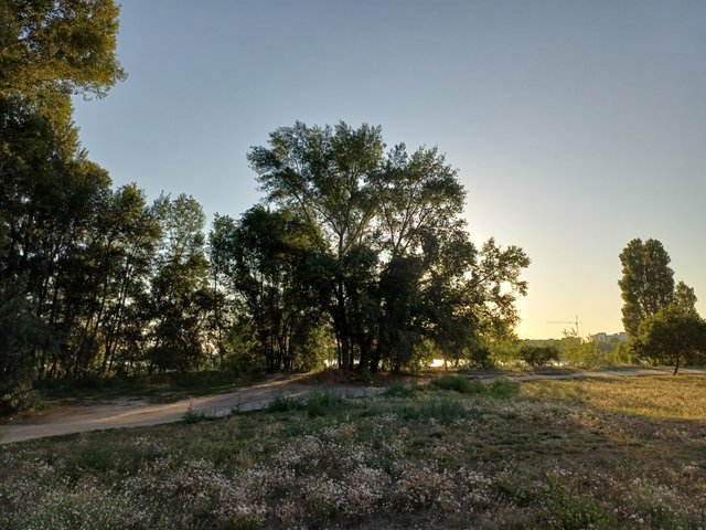 20250813_063640.jpg