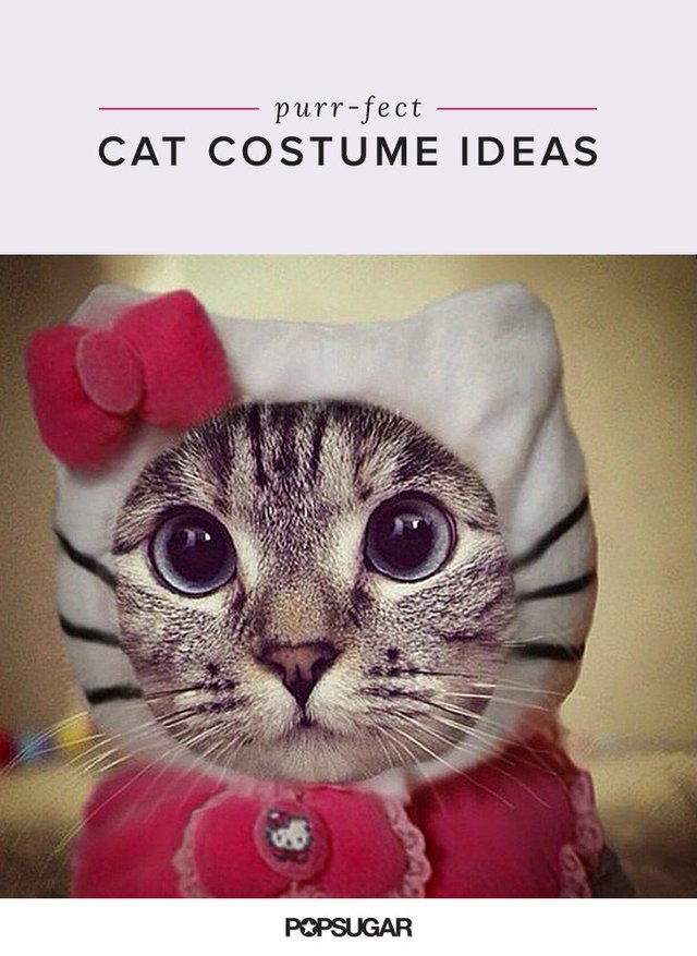 Funny-Cat-Costumes.jpg