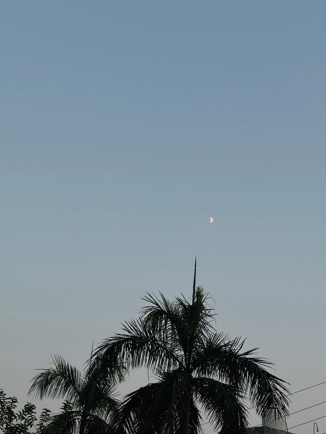 IMG_8867.jpeg