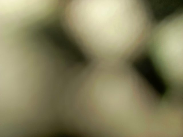 1000664789.jpg