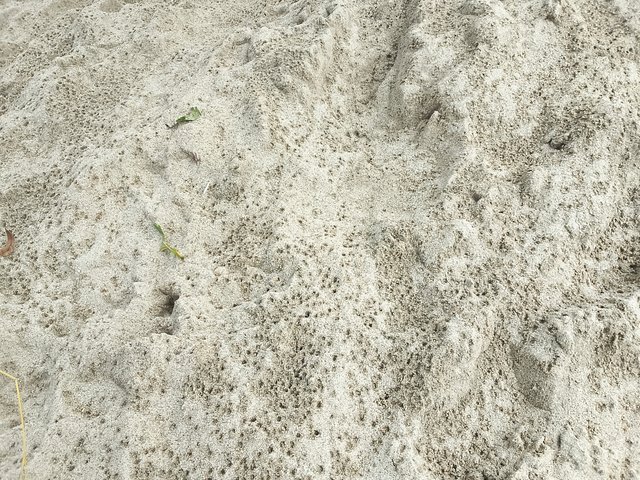 1000042712.jpg